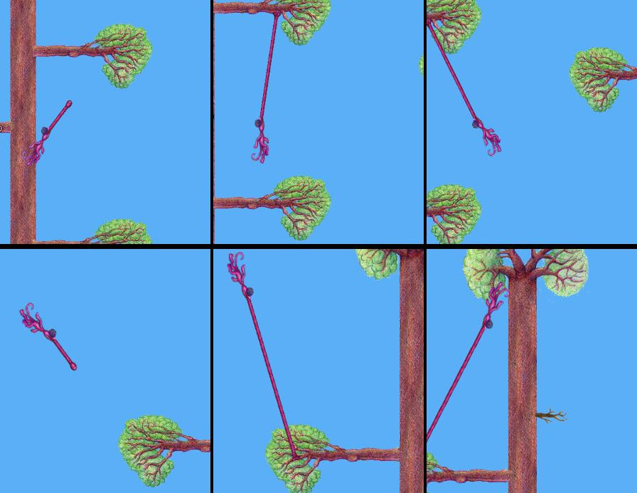 Chameleon Swing - кадр 2