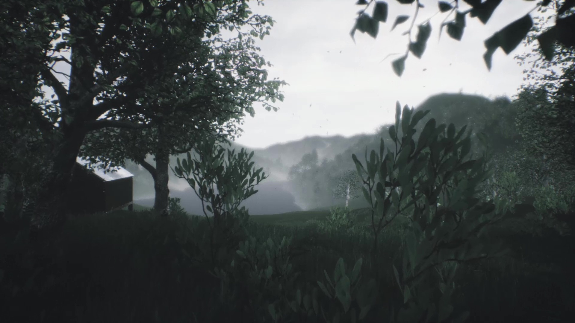 Explorable Forest Valley (itch) - кадр 1