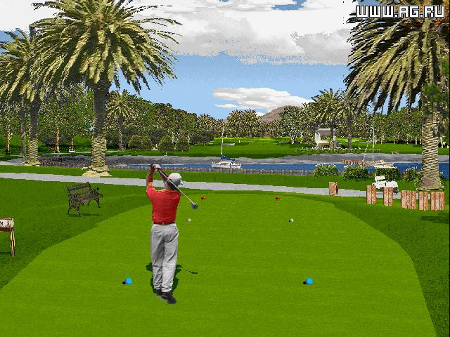Golf Pro 2000 - кадр 1