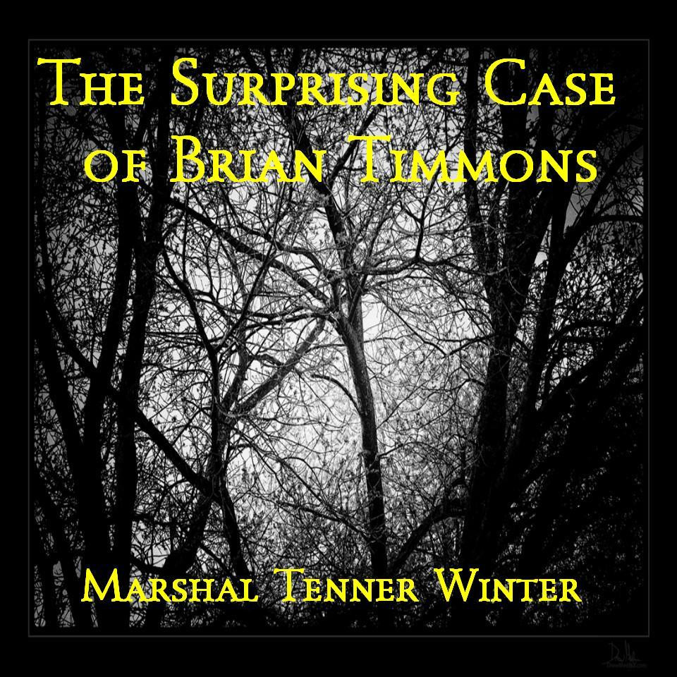 The Surprising Case of Brian Timmons (itch) - кадр 1