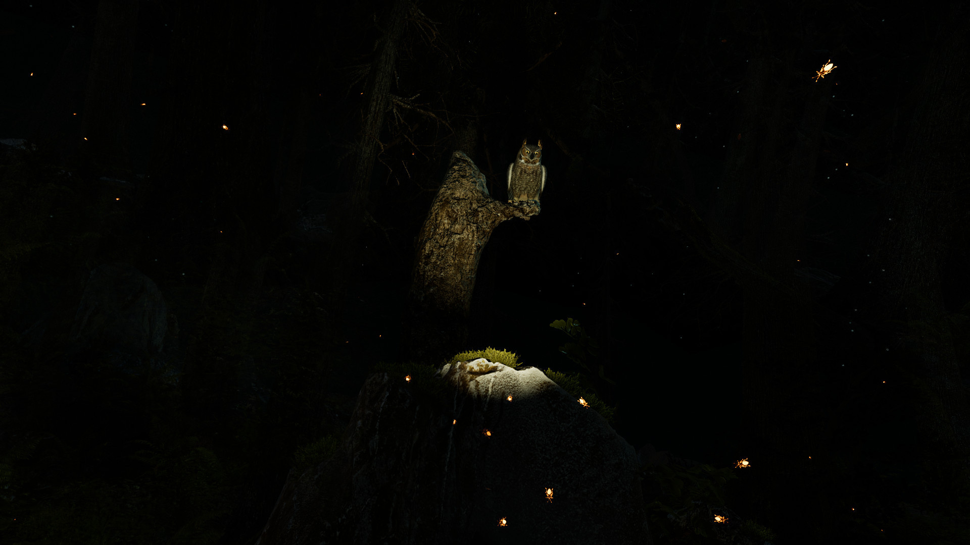 Shinrin-yoku: Forest Meditation and Relaxation - кадр 2