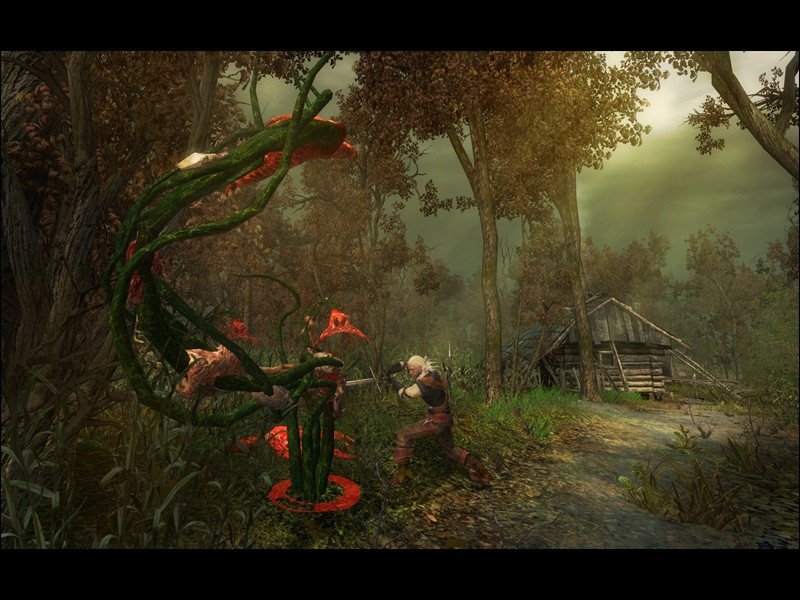 The Witcher: Enhanced Edition - кадр 7