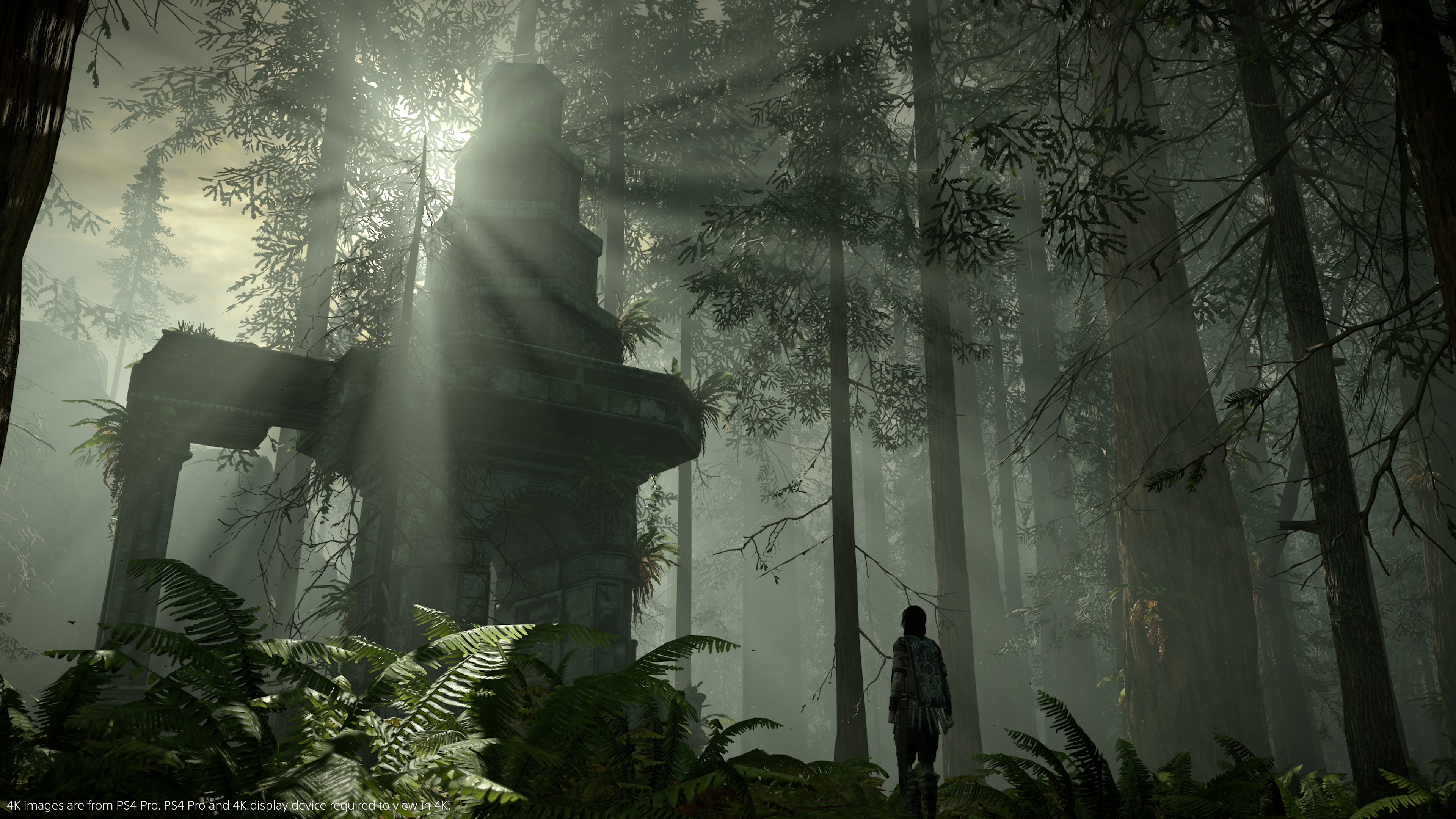 Shadow of the Colossus (2018) - кадр 2