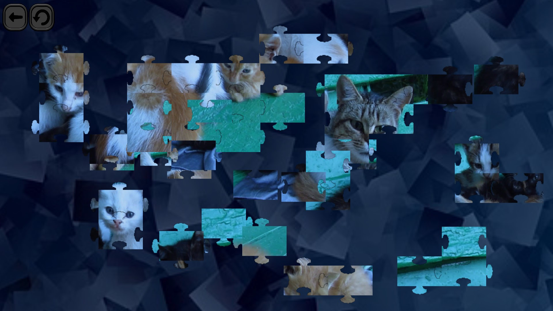Puzzles for smart: Cats - кадр 1