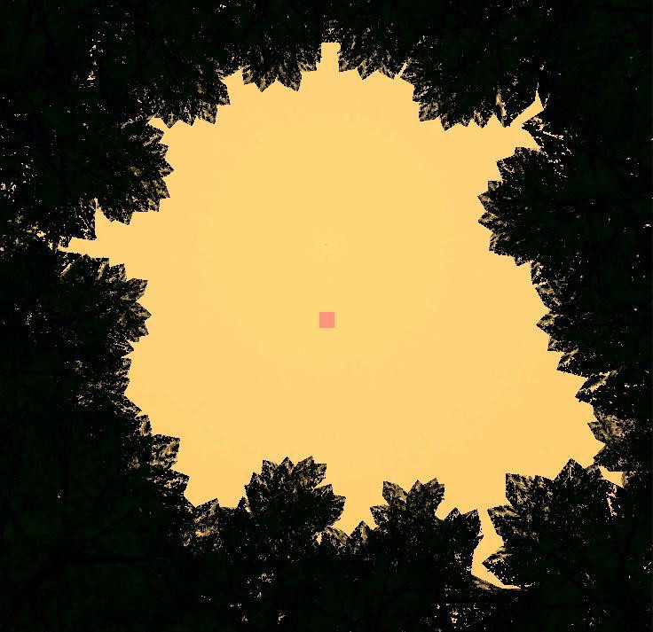 Oracle Pine (itch) - кадр 1