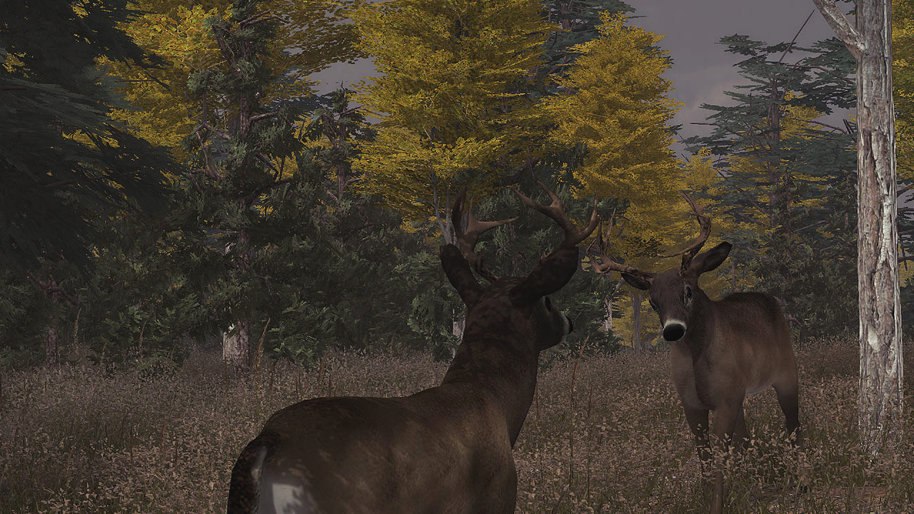 Deer Simulator - кадр 2