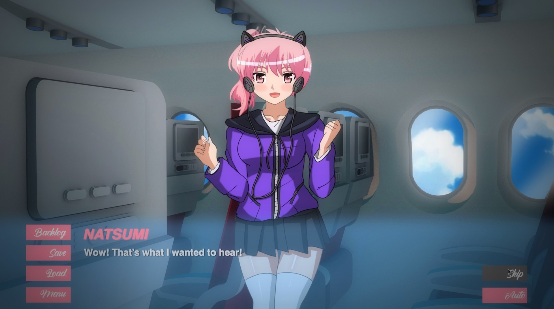 Pleasure Airlines - кадр 2