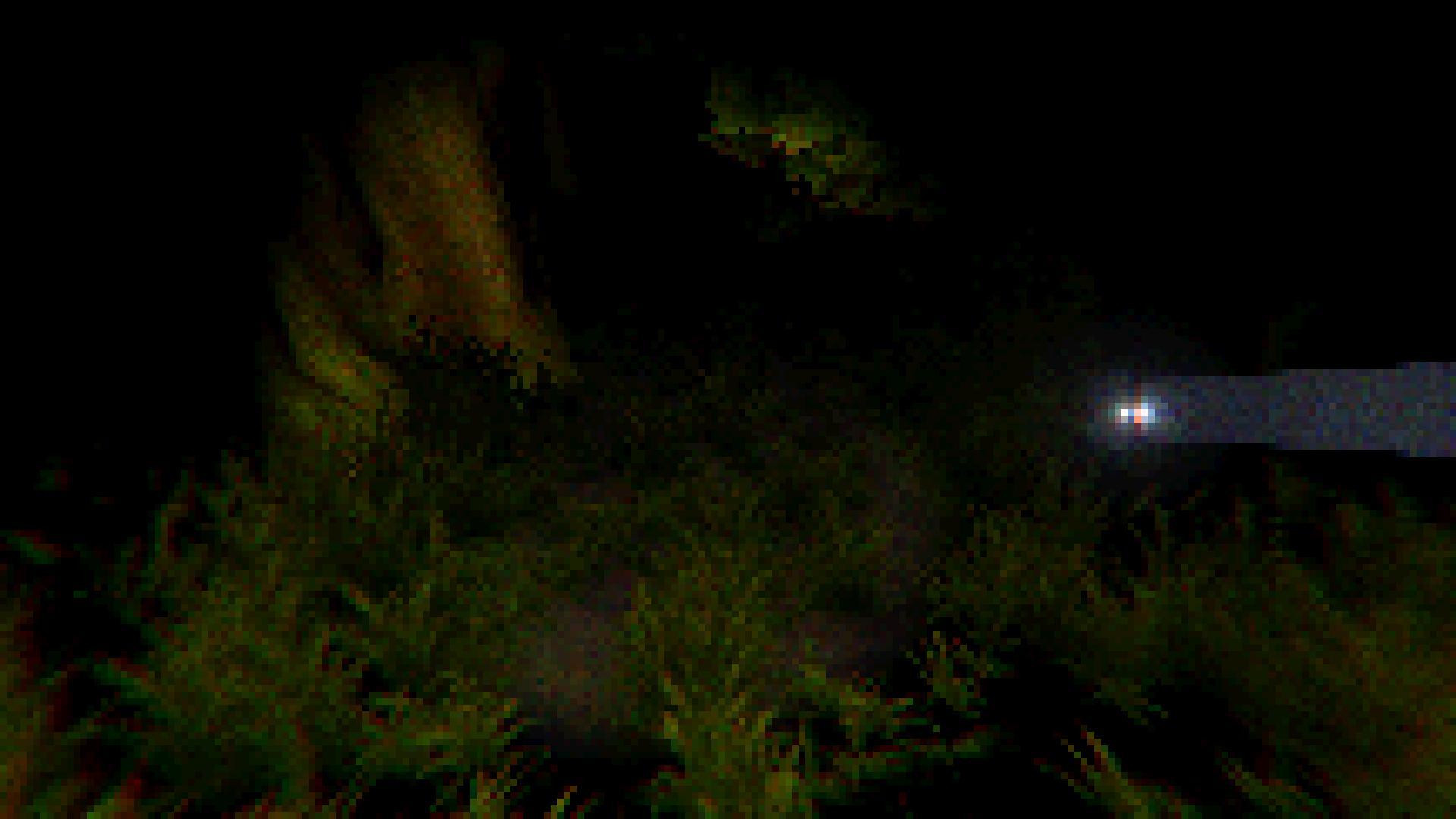 THE FOREST - PSX STYLE (itch) - кадр 4
