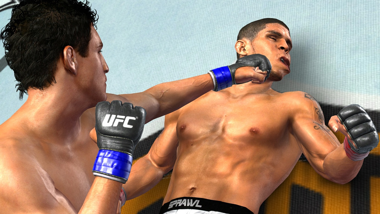 UFC 2009 Undisputed - кадр 11
