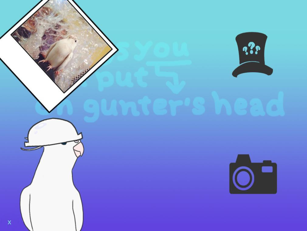 things you can put on gunter's head (itch) - кадр 1