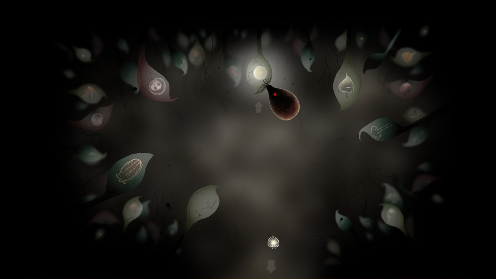 Botanicula - кадр 4