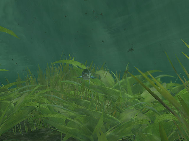 Rapala Pro Fishing - кадр 2