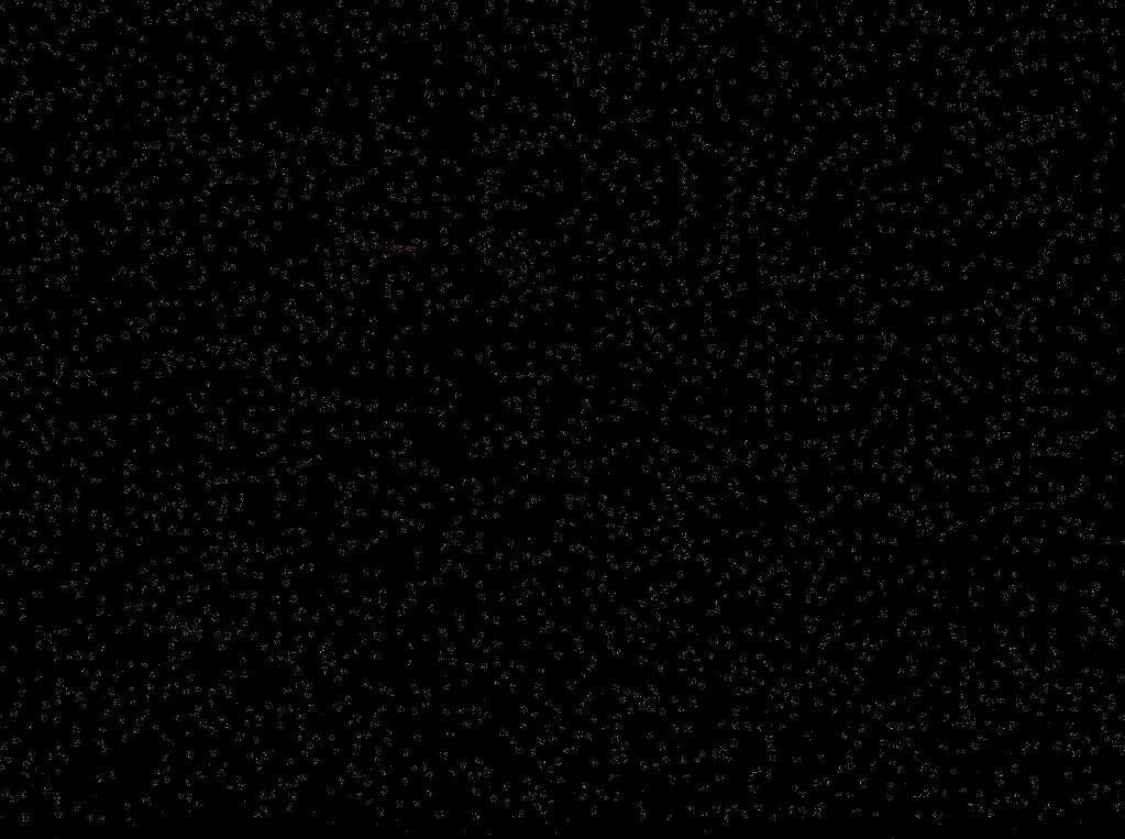 Browser Universe Simulator (itch) - кадр 1