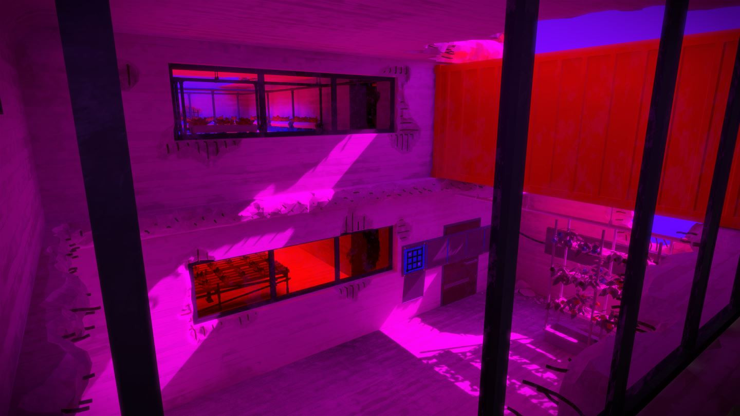 The Witness - кадр 7