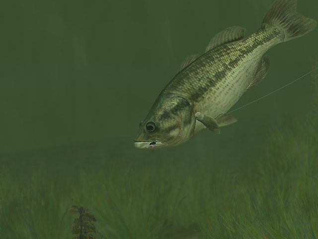 Rapala Pro Fishing - кадр 3