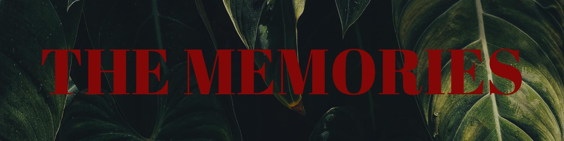 The Memories (itch) - кадр 1