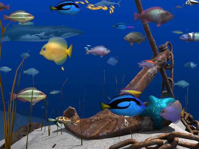 Big Kahuna Reef 2: Chain Reaction - кадр 4