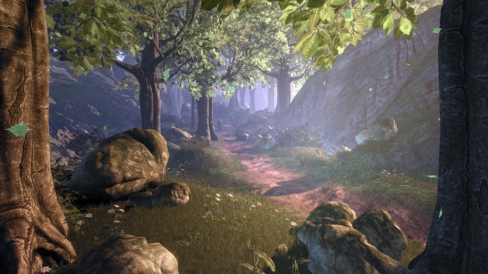 Fable 2 - кадр 2