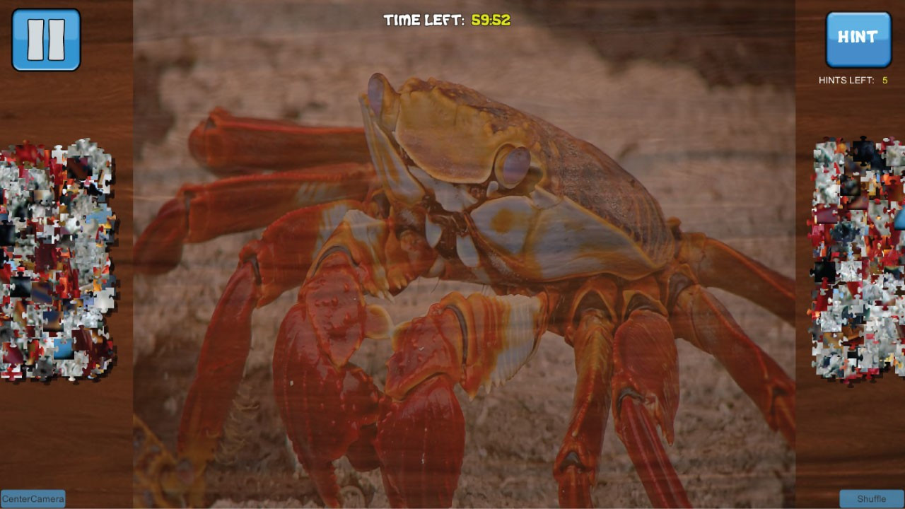 Bepuzzled Jigsaw Puzzle: Aquatic - кадр 1