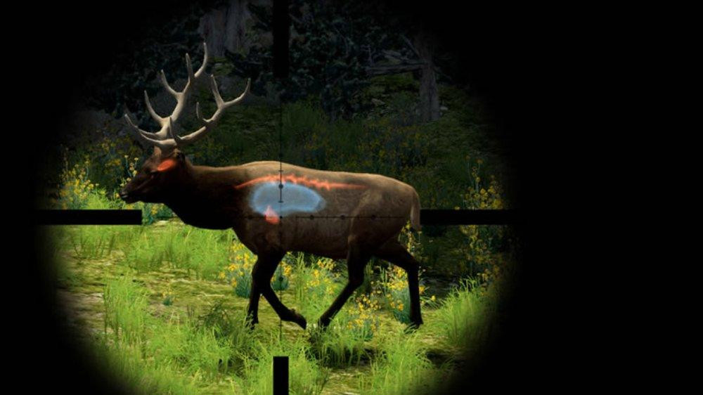 Cabela's BGH 2010 - кадр 1