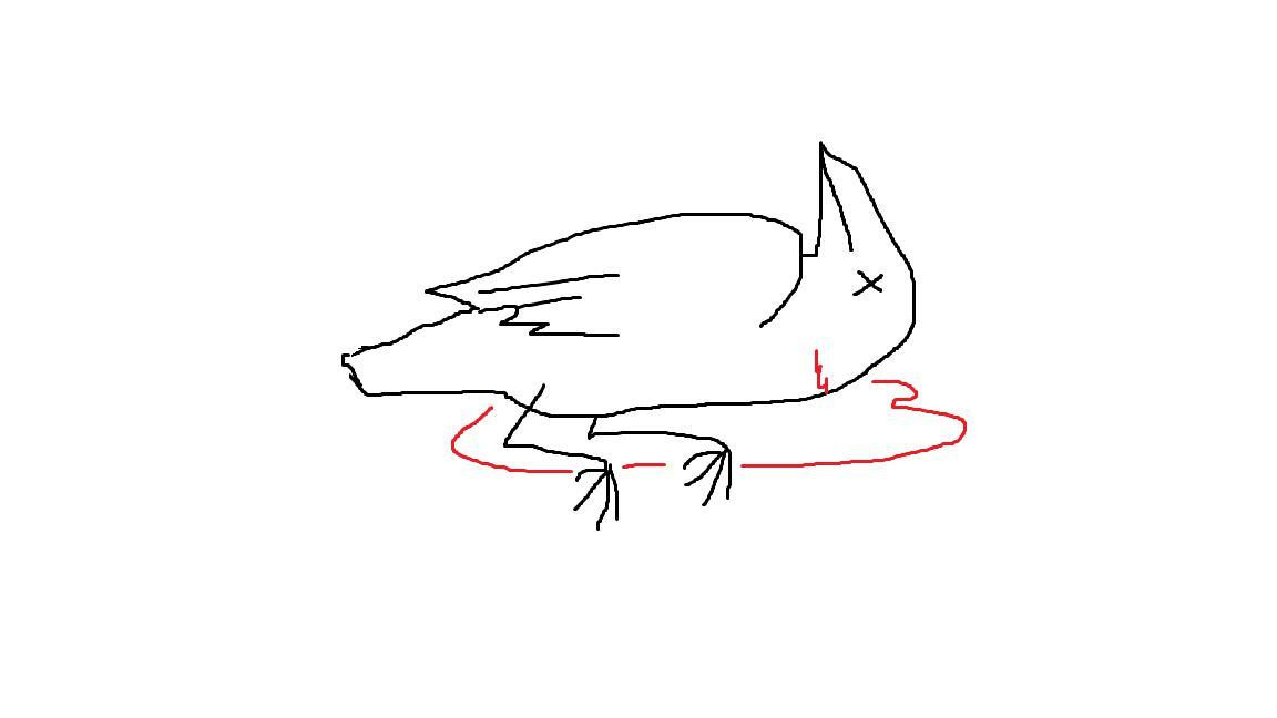 Burder (Bird Murder): WIP (itch) - кадр 1