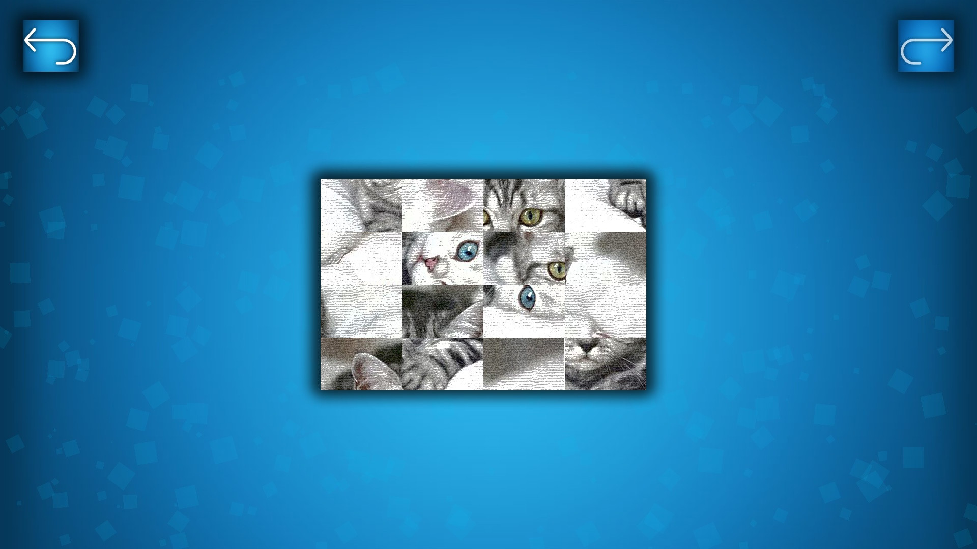 PUZZLE: CATS & DOGS - кадр 1