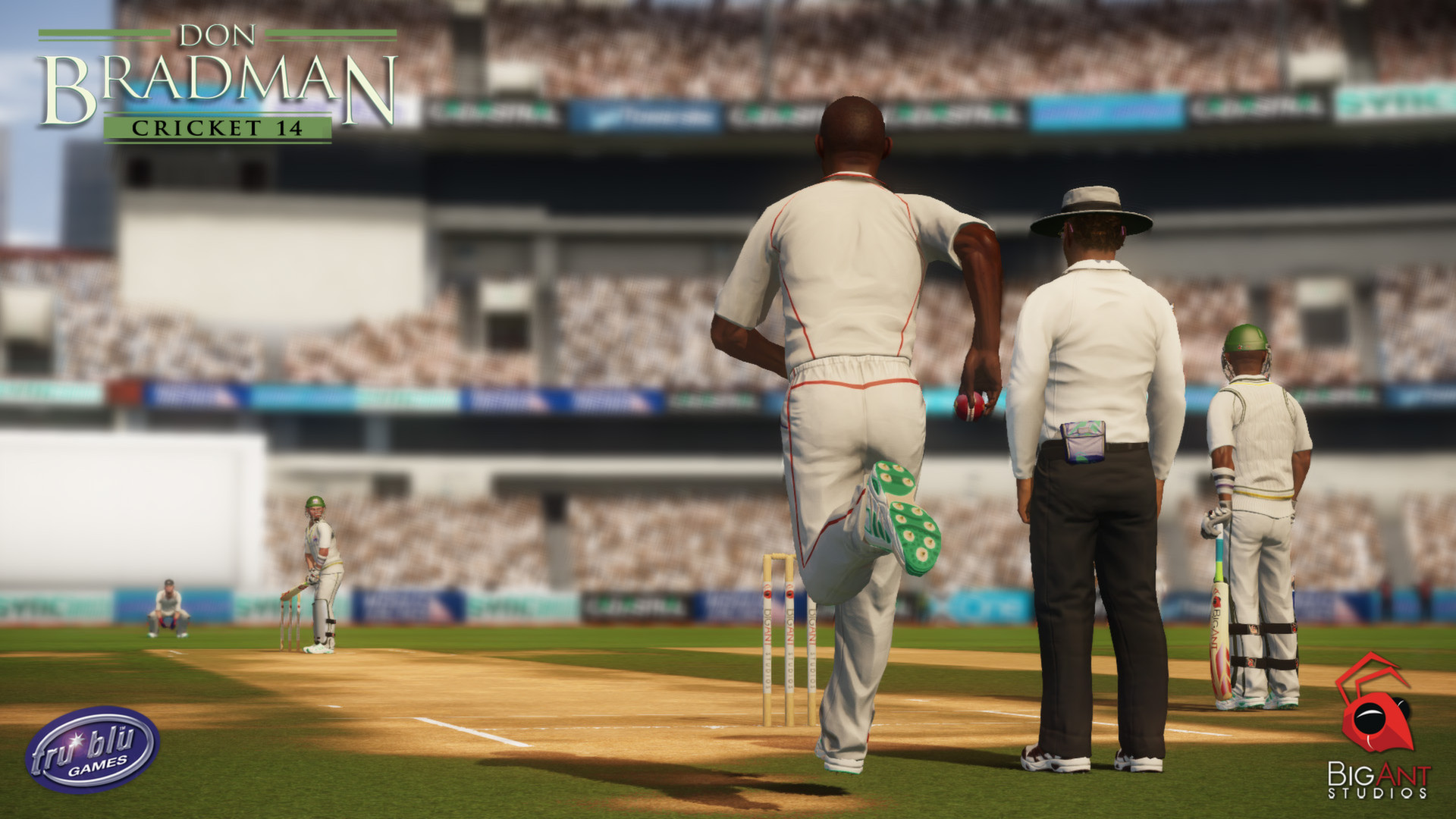 Don Bradman Cricket 14 - кадр 3