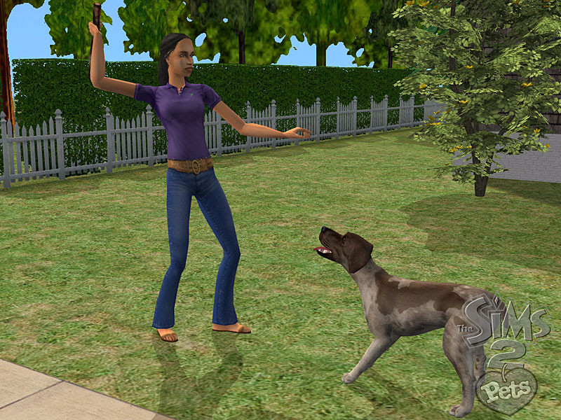 The Sims 2: Pets - кадр 10