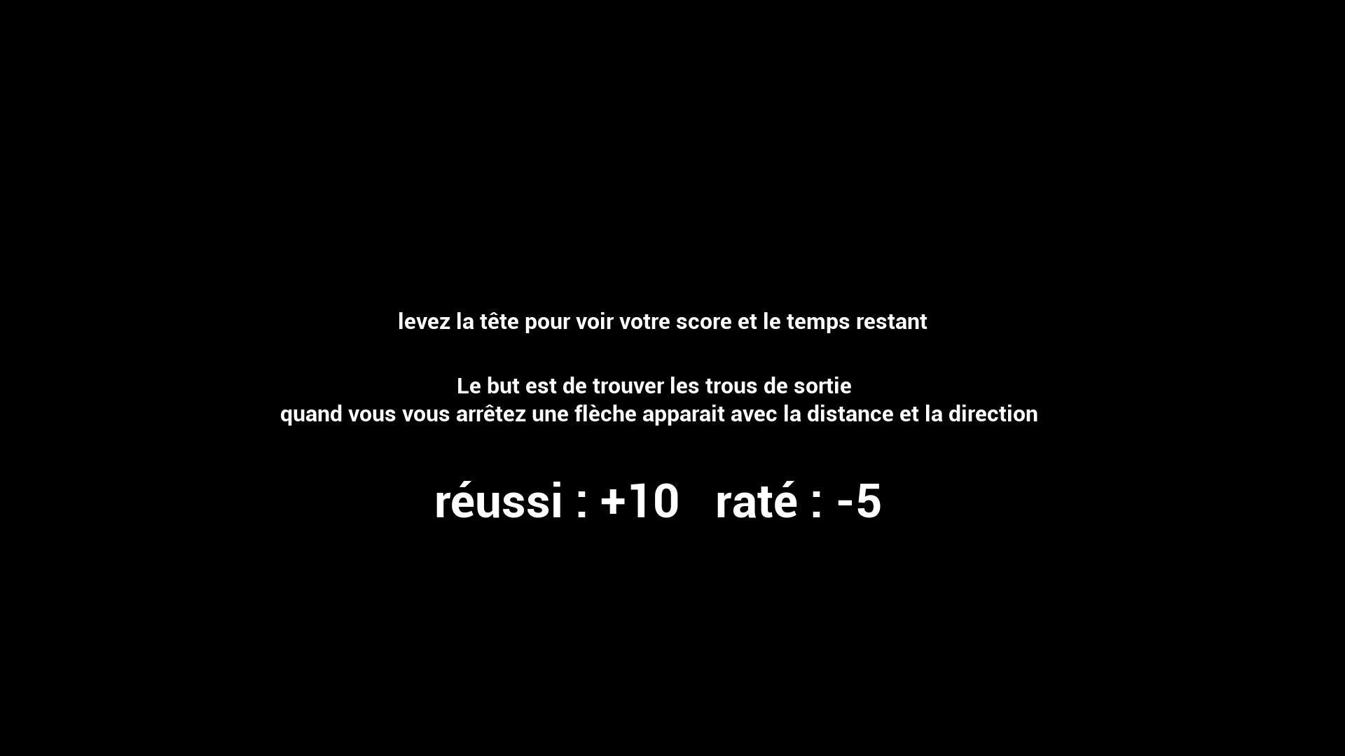 Labyrinth Runner (FR) (itch) - кадр 1