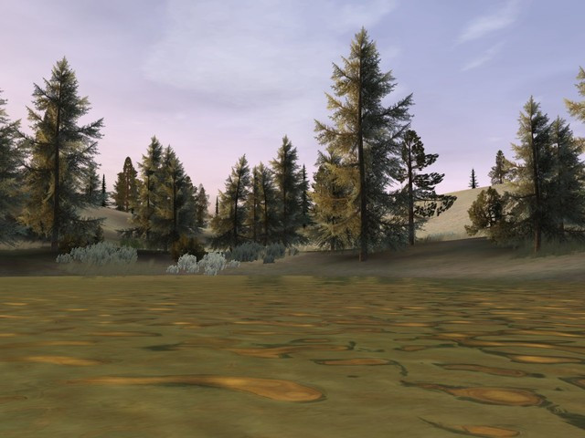 Deer Hunter 2005 - кадр 6
