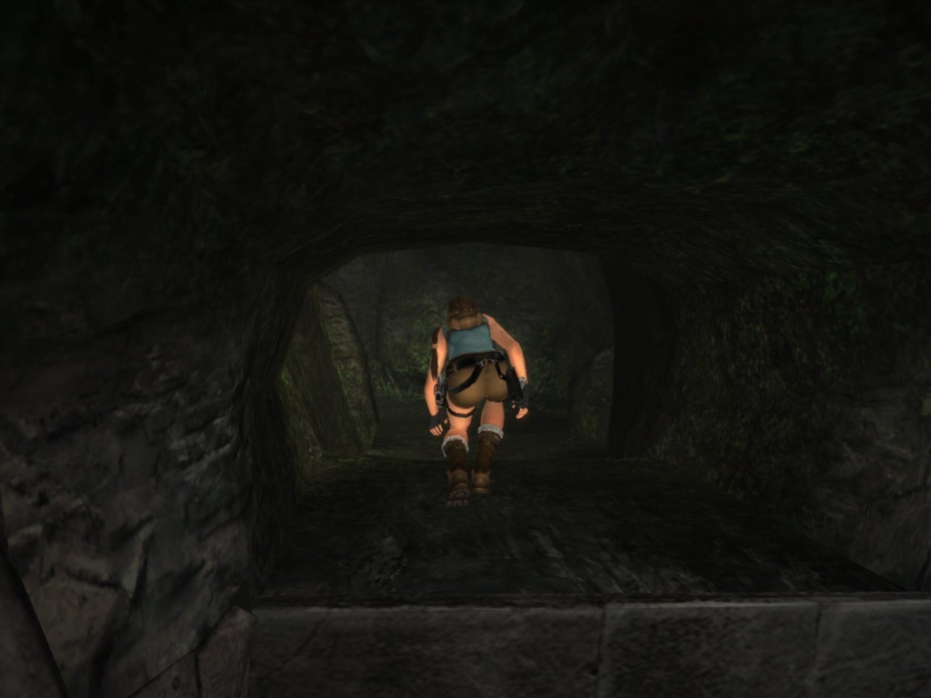 Tomb Raider: Anniversary - кадр 10