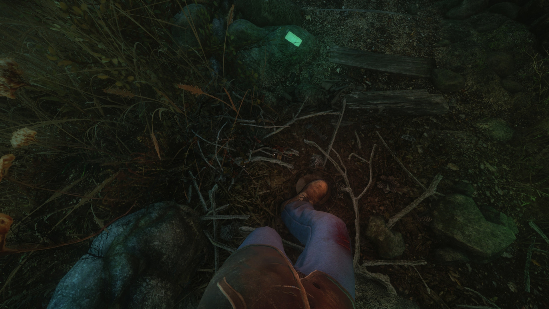 The Cursed Forest (itch) - кадр 2
