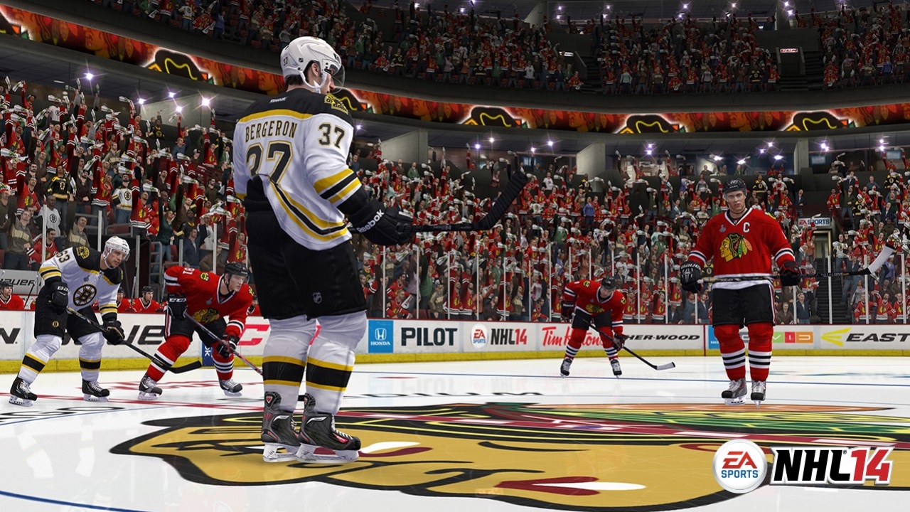 NHL 14 - кадр 3