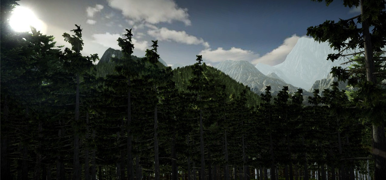 The Secrets of The Forest - кадр 2