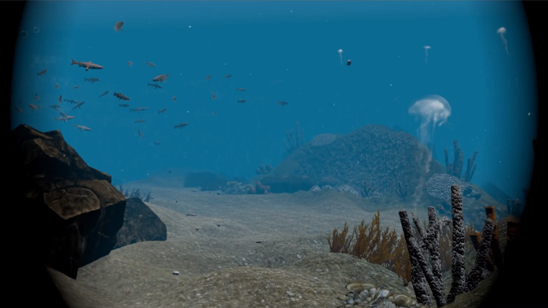 Scuba Ocean Odyssey VR (itch) - кадр 3