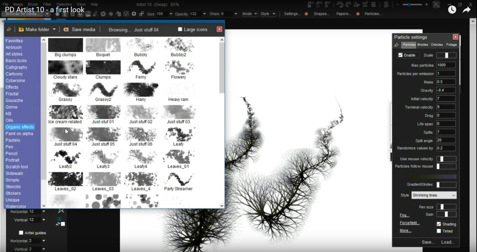 PD Artist 10 - кадр 3