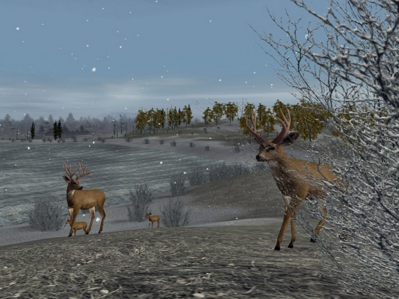 Hunting Unlimited 2 - кадр 6