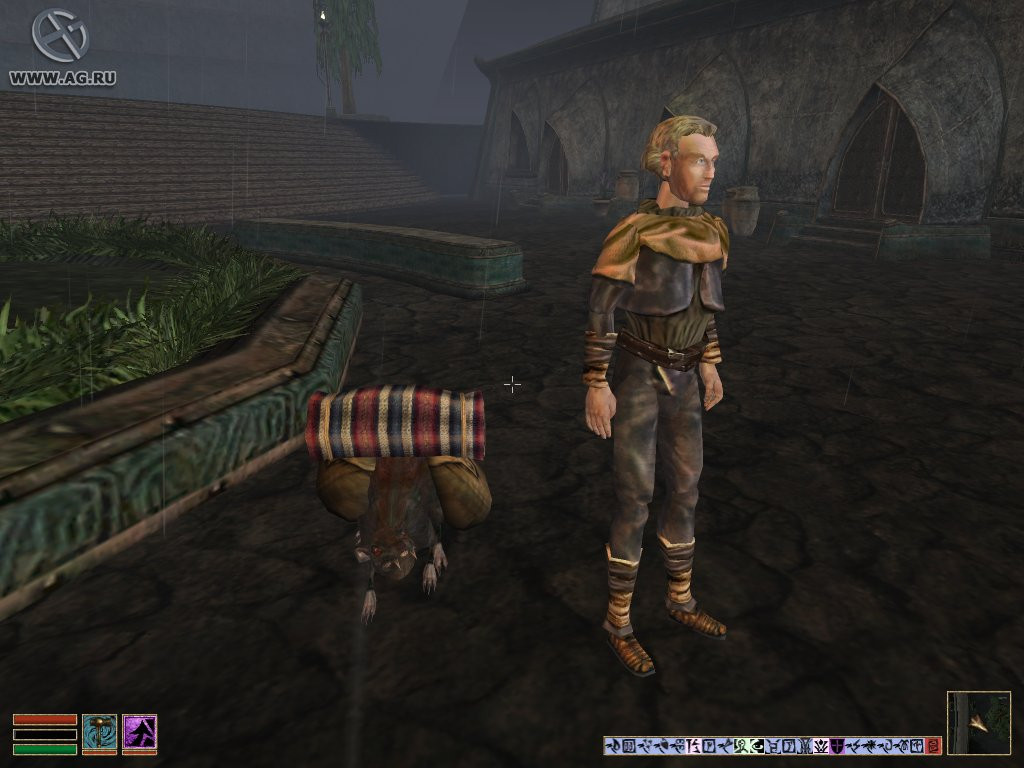 The Elder Scrolls 3: Tribunal - кадр 11