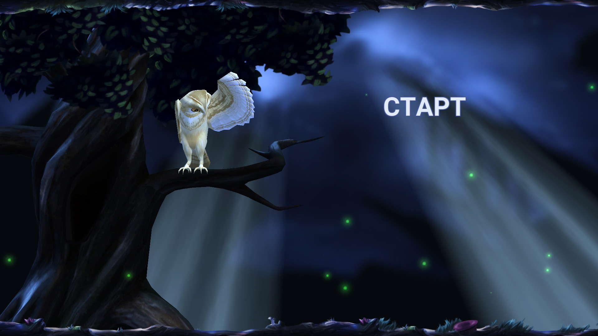 Owl's Midnight Journey - кадр 1