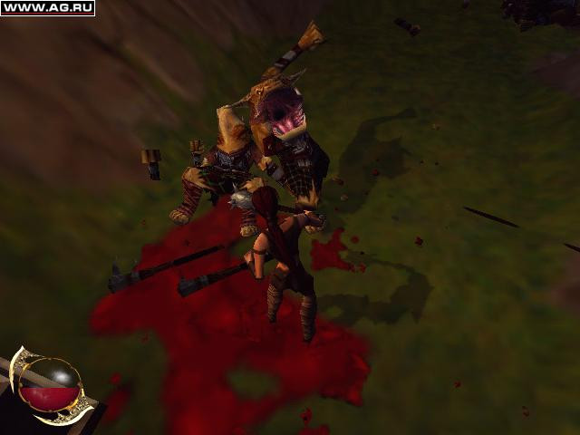 Drakan: Order of The Flame - кадр 1