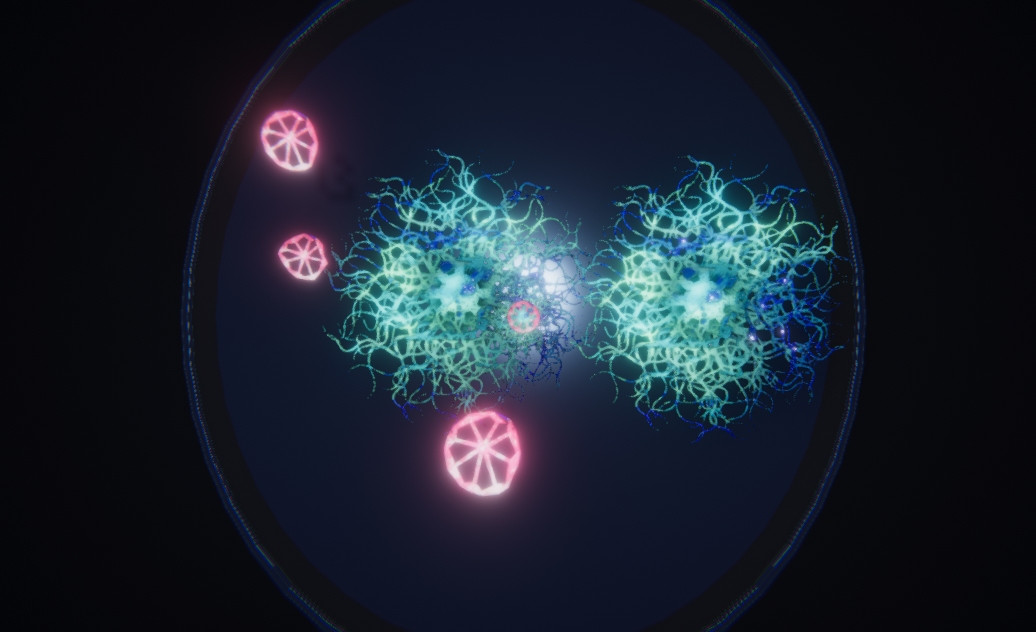 Fungus Frixum (itch) - кадр 1