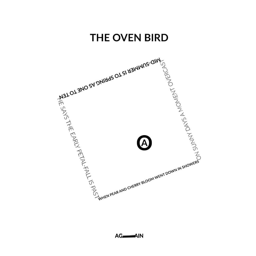 The Oven Bird (itch) - кадр 1