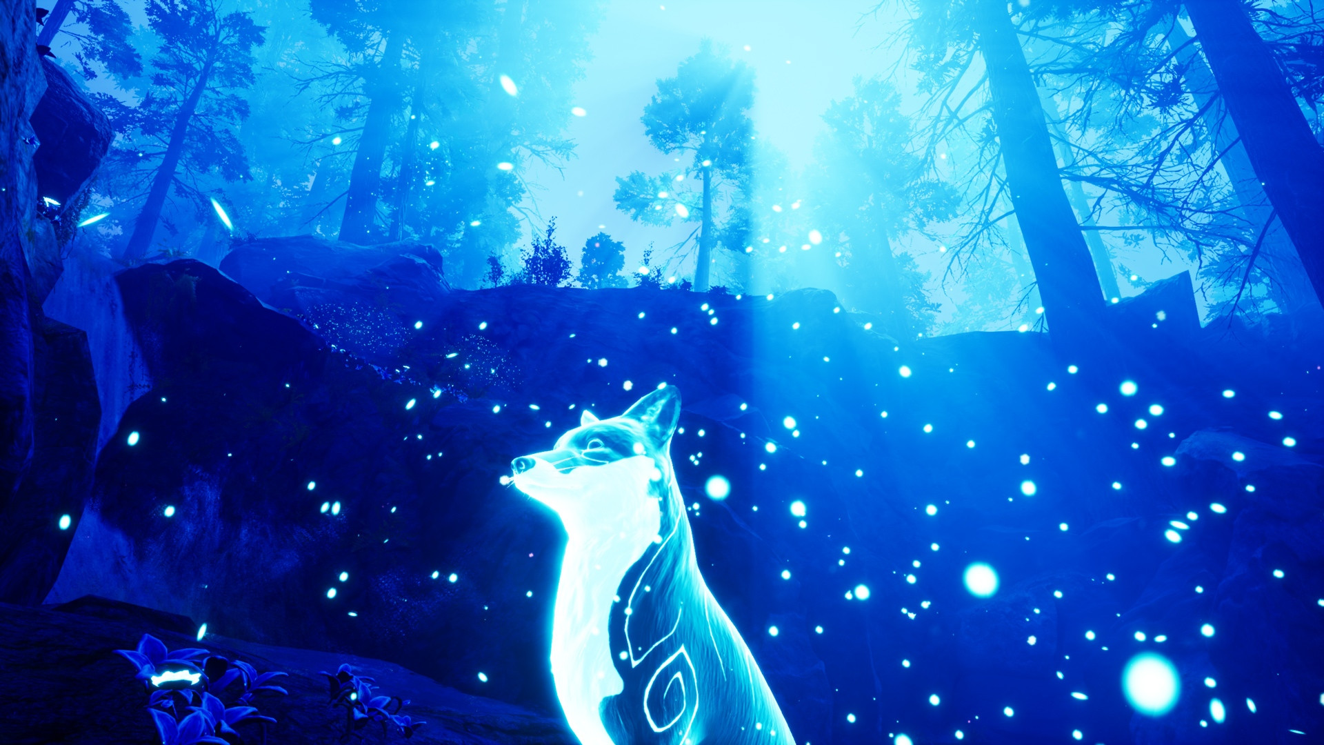 Spirit of the North - кадр 5