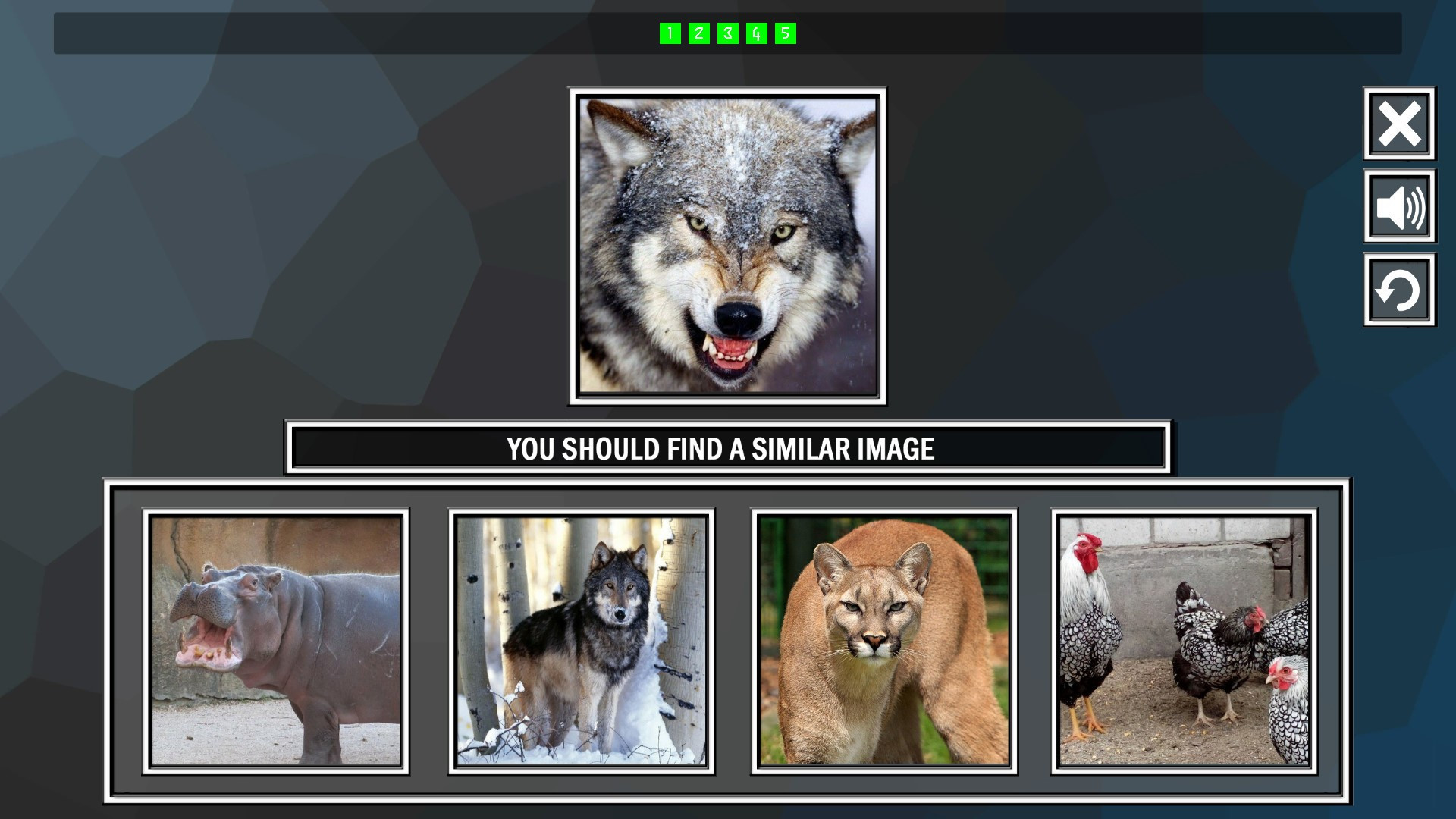 Repeat the image: Animals - кадр 1