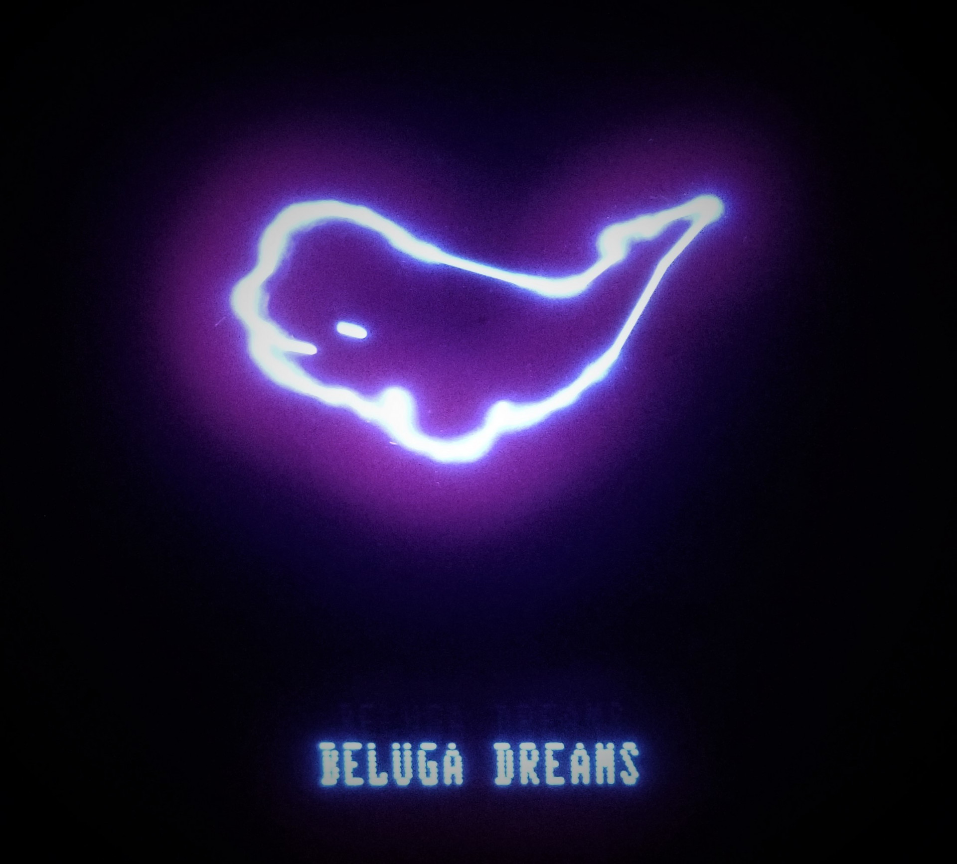 Beluga Dreams (itch) - кадр 1
