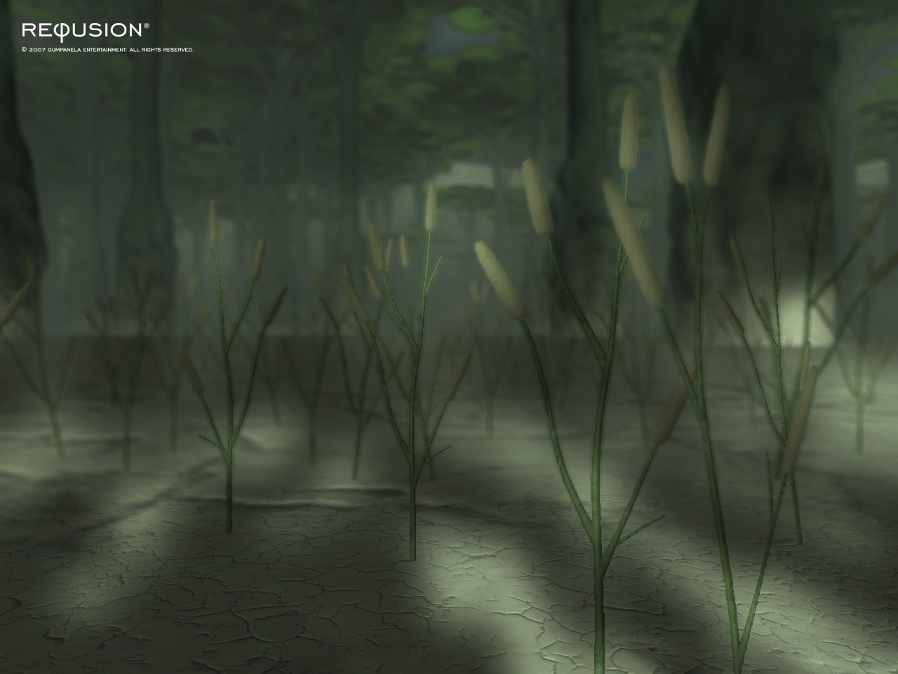 Refusion - кадр 6