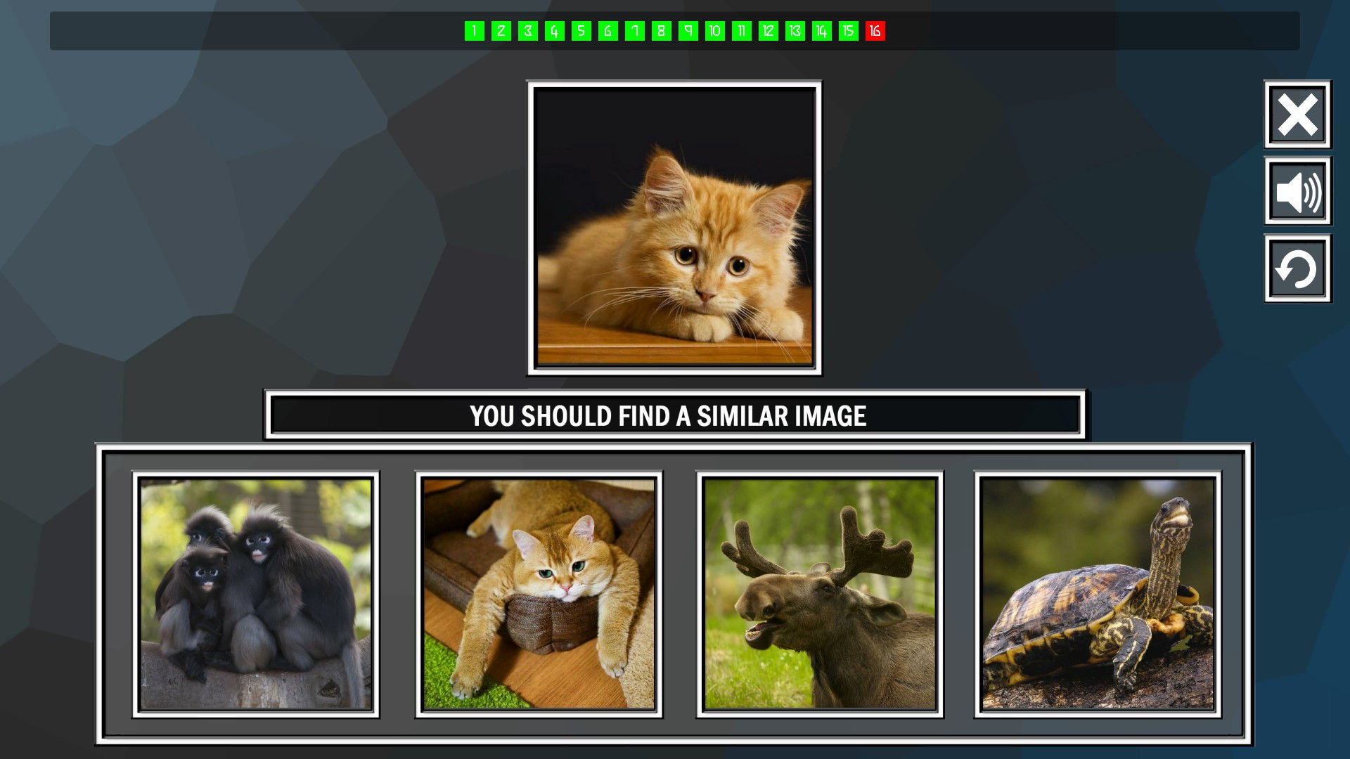 Repeat the image: Animals - кадр 2