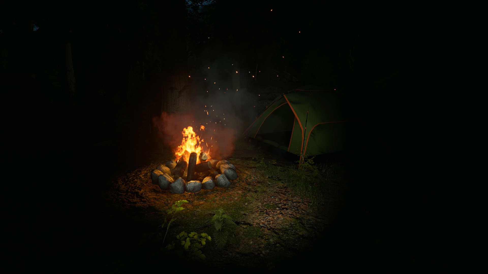 Morels: The Hunt - кадр 9