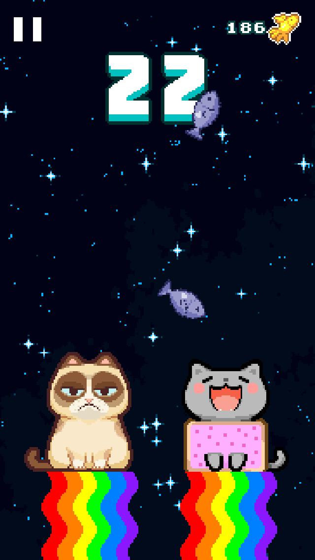 Nom Cat - кадр 2