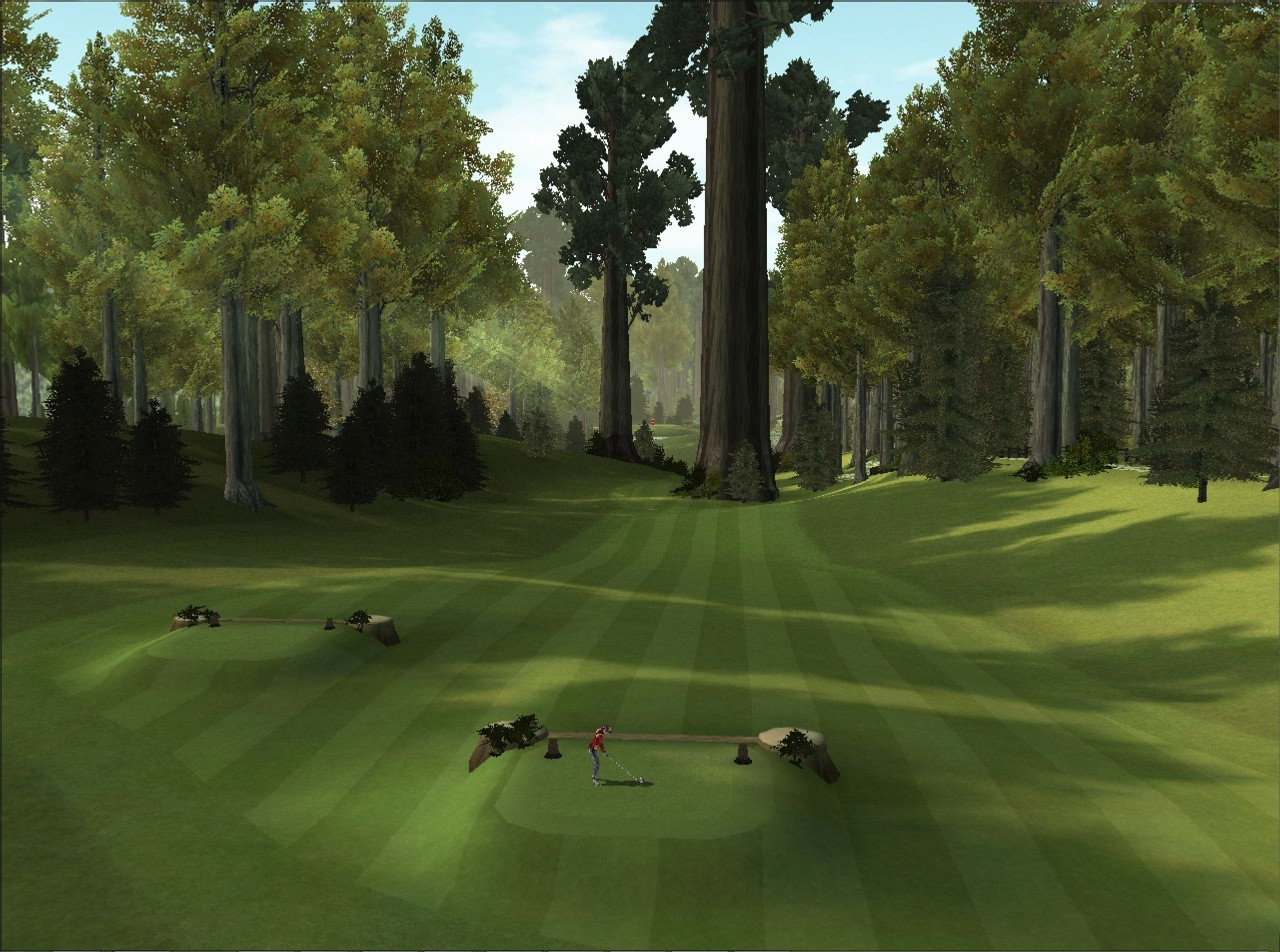 Golfstar - кадр 5